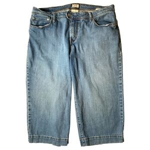 Levi's Classic Blue Denim Shorts Plus Size 18